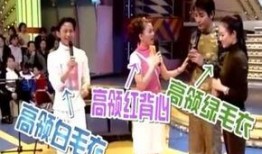 河北女子爆料新闻视频播放